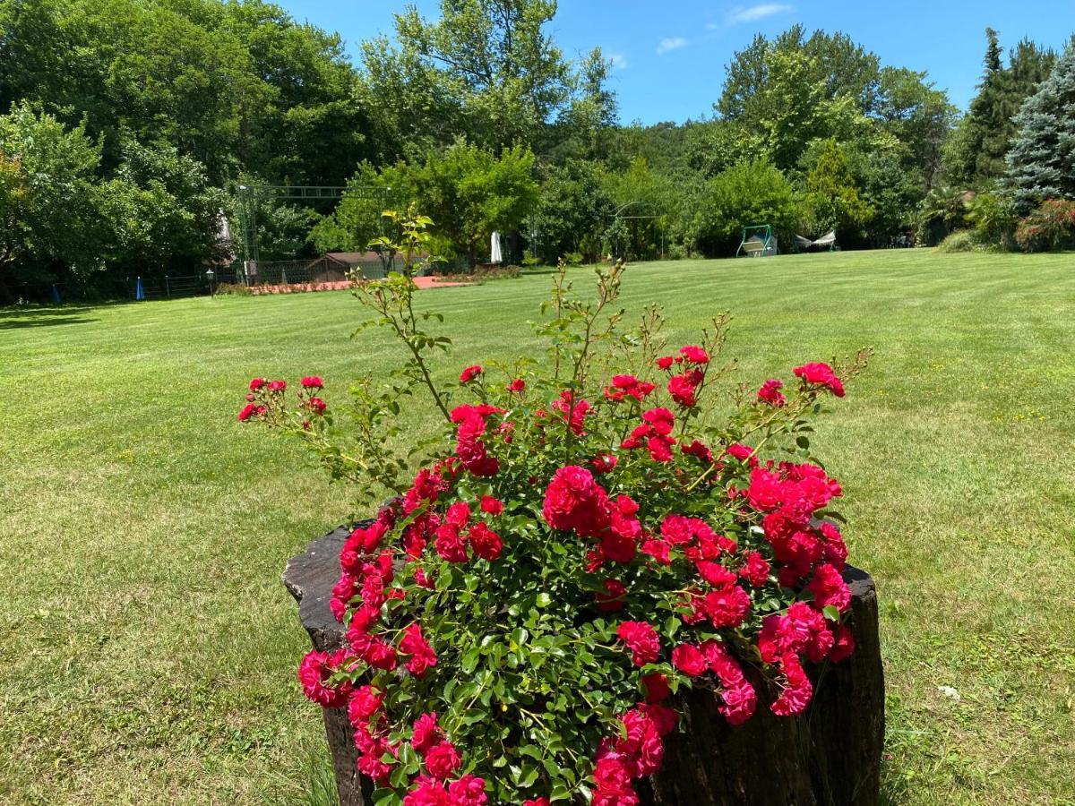 Sarikonaklar Garden Village Ağva Esterno foto
