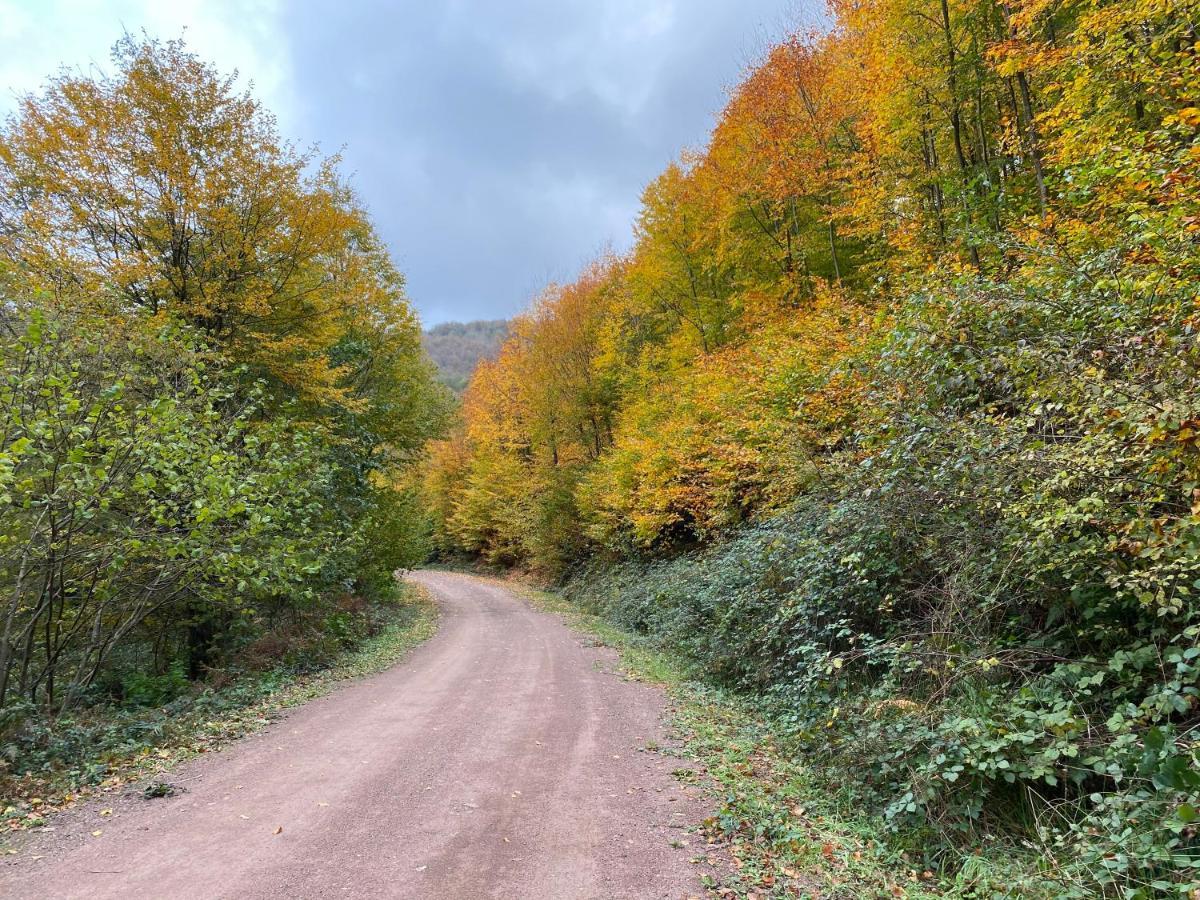 Sarikonaklar Garden Village Ağva Esterno foto