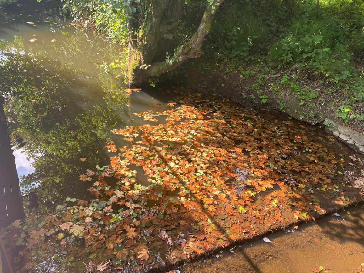 Sarikonaklar Garden Village Ağva Esterno foto